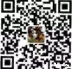 专业运动员如何借助网络化技术优化训练_2