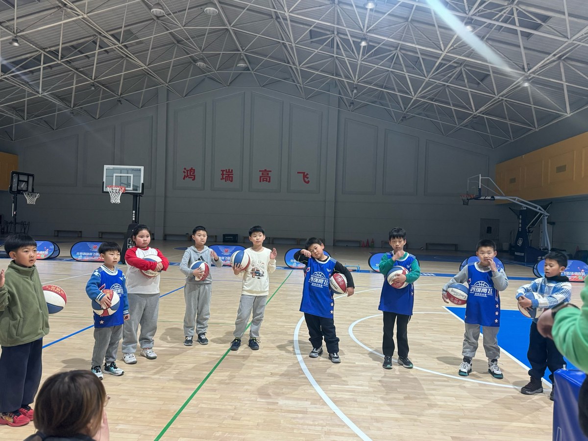 小学生篮球训练课视频教学完整版