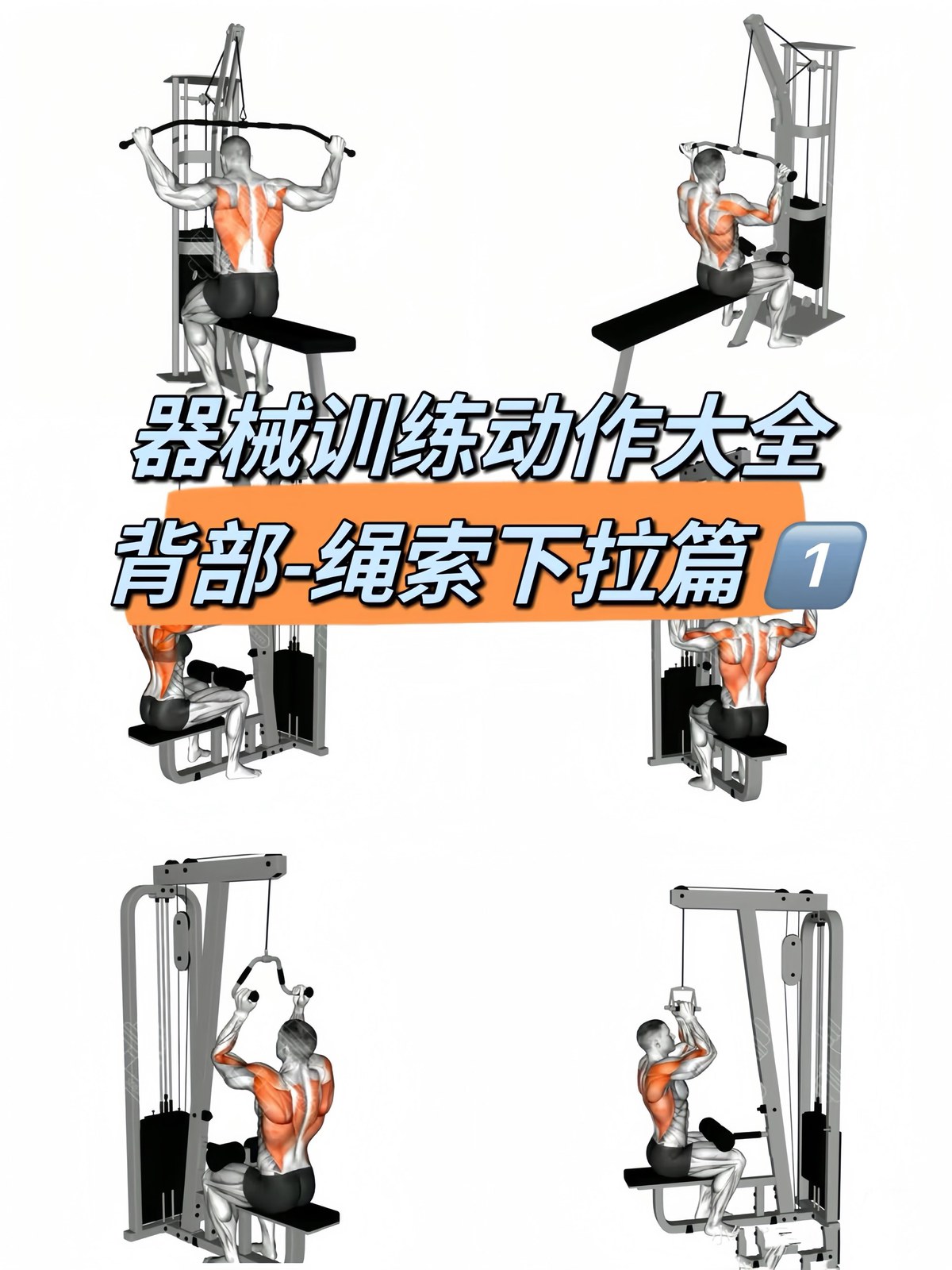 如何利用篮球训练器材进行康复训练
