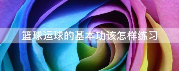 篮球专业训练球是什么
