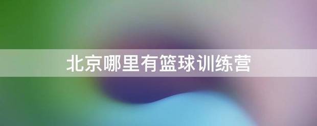 篮球训练营大概多少钱啊