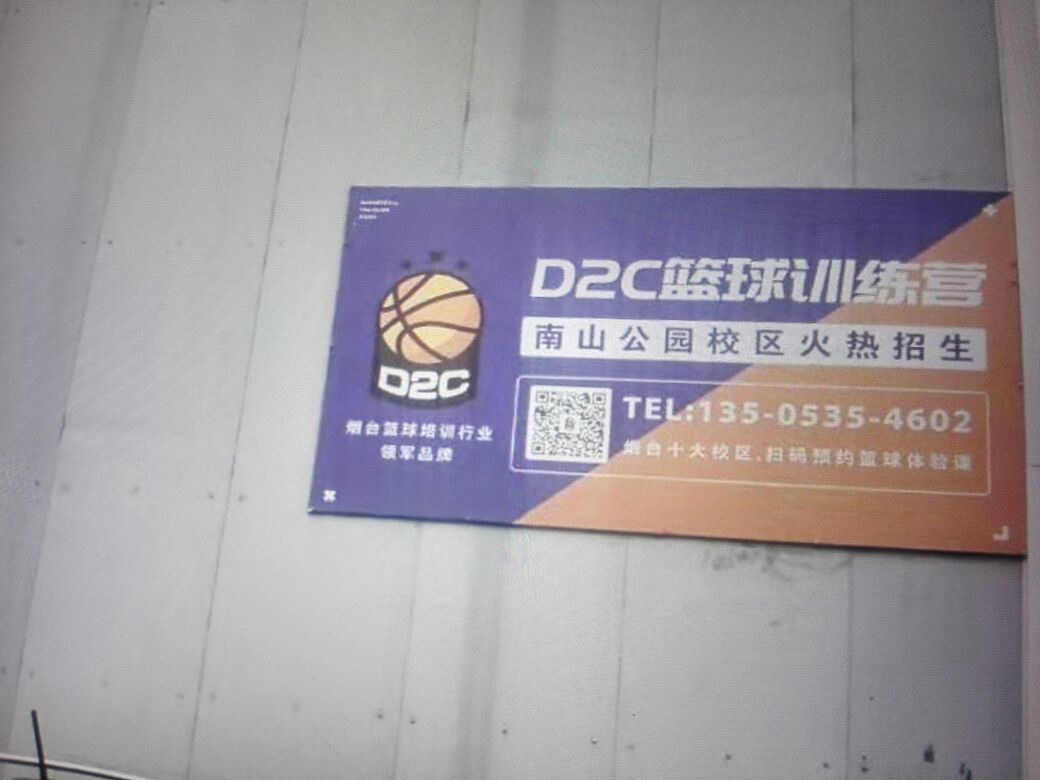 篮球训练营的营业执照