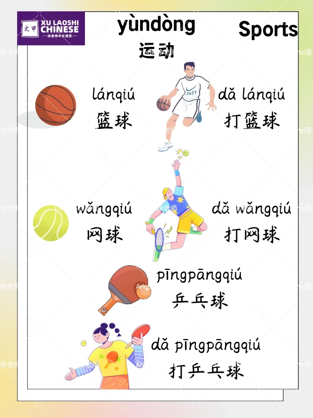 篮球训练词语