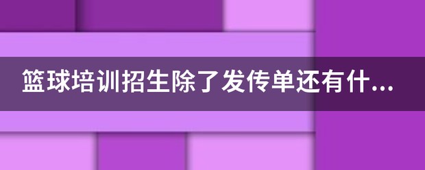 篮球训练营招生方案怎么写